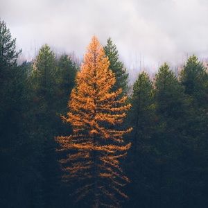 Meet your Posher, Evelyn